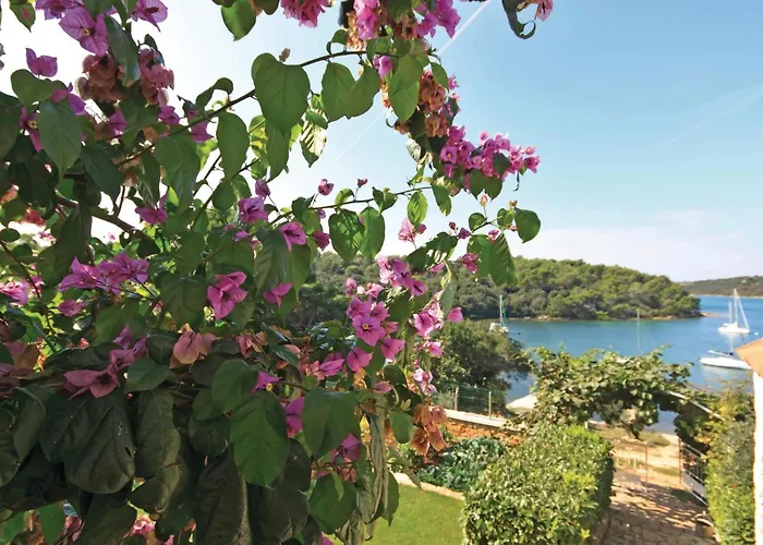 Kastanjez Iv Cr Appartement Pula