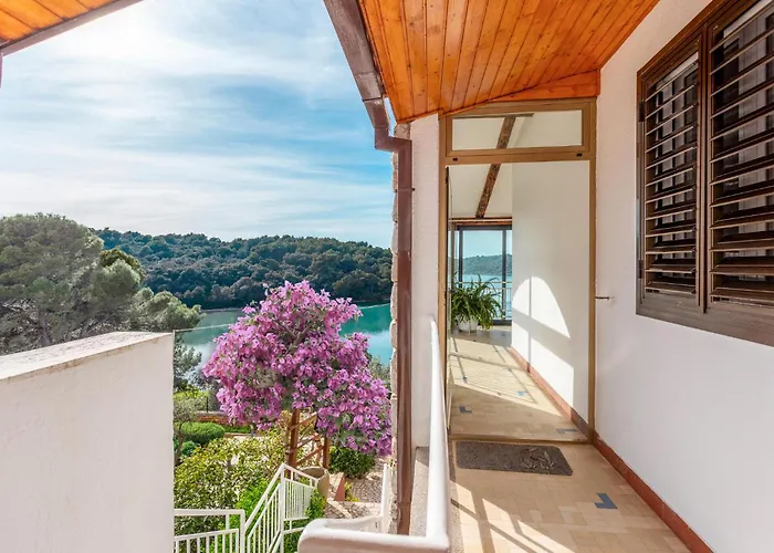 Apartment Kastanjez IV Cr Apartment Pula