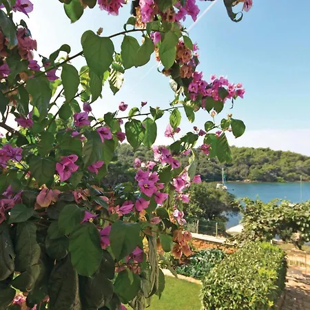 Kastanjez Iv Cr Apartamento Pula